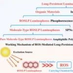 Chem. Soc. Rev.：活性氧介导的有机长余辉发光体照亮生物医学：从双组分分离的纳米系统到集成的单发光体