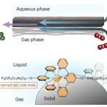 研究前沿：分子催化-界面疏水 | Nature Chemistry