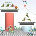 ACS Catalysis: 分子动力学(MD)模拟+密度泛函理论(DFT)揭示间接配位位点的高效率