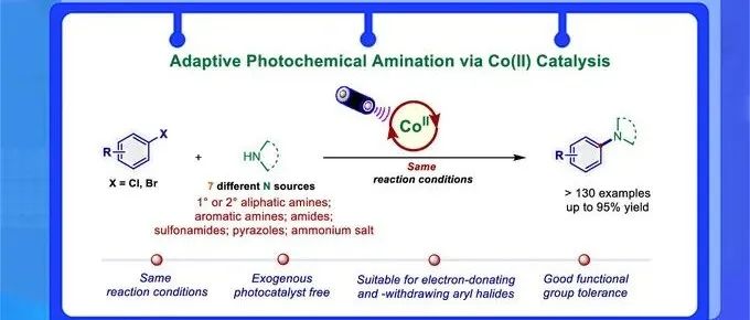 陕西师大薛东组JACS：基于钴催化剂的高效、自适应光化学 C-N 偶联反应新体系