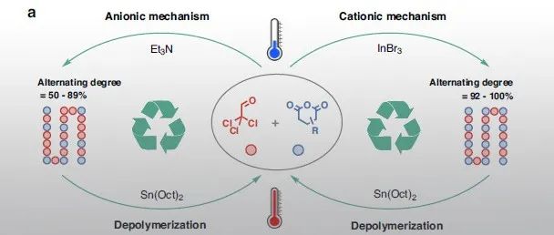 浙大张兴宏/张成建团队 Nat. Commun.：一种可化学循环的含氯聚酯塑料