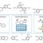 研究进展：木质素C–C键裂解 | Nature Reviews Chemistry