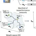 研究进展：微分几何-机器学习 Nature Machine Intelligence
