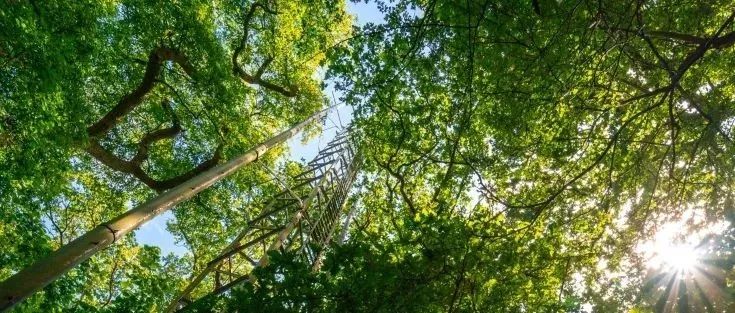 中国科学院遗传发育所农业资源研究中心和东北林业大学在表征植被物候的方法论研究领域取得重要进展