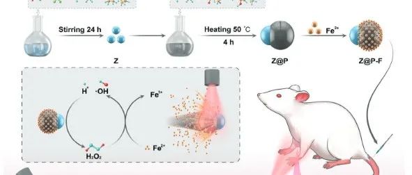 AdvancedMaterials|用于增强肿瘤穿透和治疗的近红外驱动的铁死亡纳米马达
