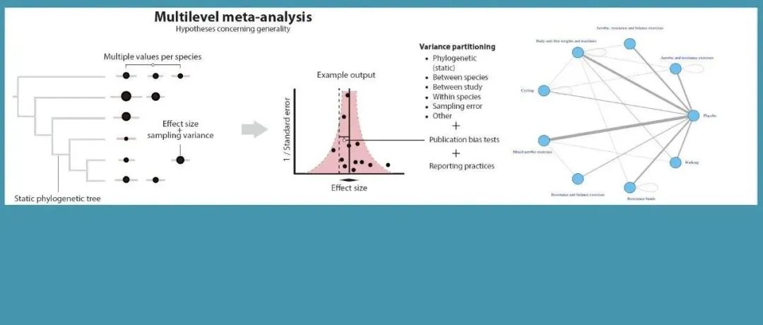R数据分析｜Meta分析/网状Meta分析/混合效应模型/激光雷达