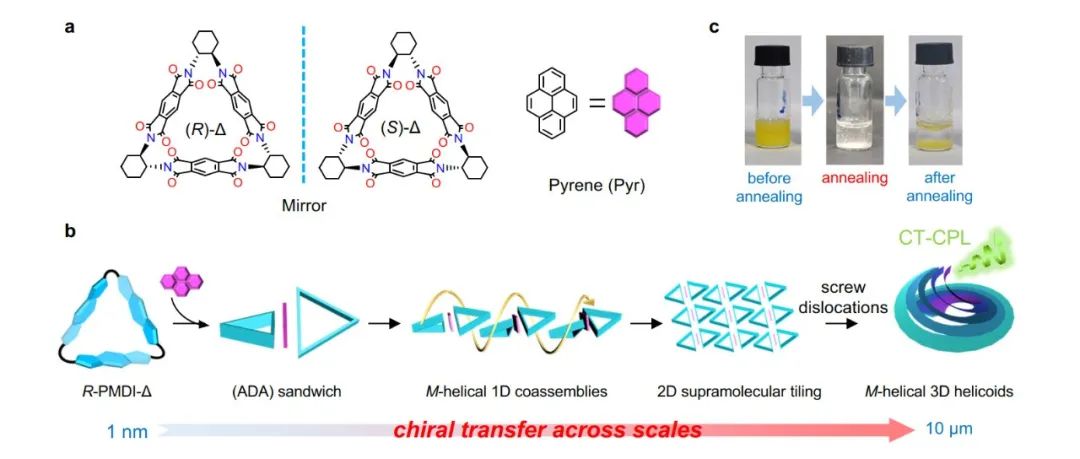 Nat. Commun.｜螺旋位错自组装形成宏观同手性螺旋体