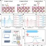 清华大学刘凯教授EES：理性分子设计的电解液添加剂赋能无钴5V级高压锂金属电池