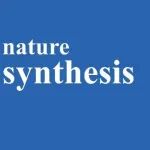 北京大学，Nature Synthesis!