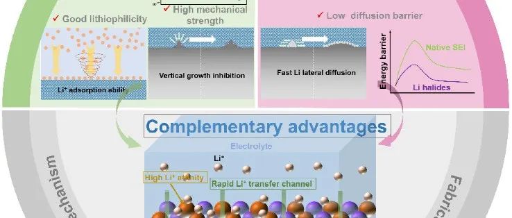 中山大学卢侠团队Electrochem Energy Rev综述：锂合金/卤化锂混合层稳定锂-电解质界面