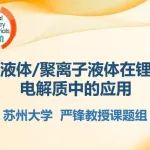 离子液体/聚离子液体在锂电池电解质中的应用