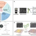 Adv Sci (IF=14.3) | 中草药天然产物自组装成先进生物活性材料