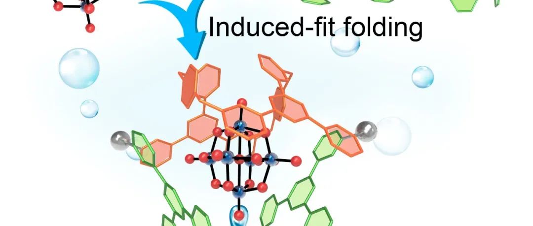 中国科学院福建物构所孙庆福/蔡丽璇团队：自适应配位笼折叠封装多金属氧酸盐用于绿色催化