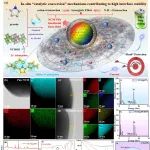 华南理工刘军教授EES：界面原位催化转化集成设计实现全固态电池阴极界面的化学-机械稳定性
