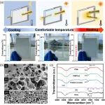 福州大学赖跃坤/黄剑莹教授 AFM：具有双向可调响应温度的日间节能、夜间保护隐私的新一代智能窗户