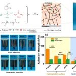 郑州轻大张晓静教授团队 CEJ：对水下亲水表面黏附增强和在恶劣环境下具有强黏附的共晶凝胶粘合剂