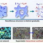 南京林业大学黄超伯/熊燃华团队《ACS Nano》：用于植物/人体生理电信号检测的仿生超薄自愈合表皮电极