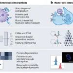 深圳湾实验室饶浪/新加坡国立大学陈小元 Nat. Nanotechnol.：机器学习辅助纳米诊疗
