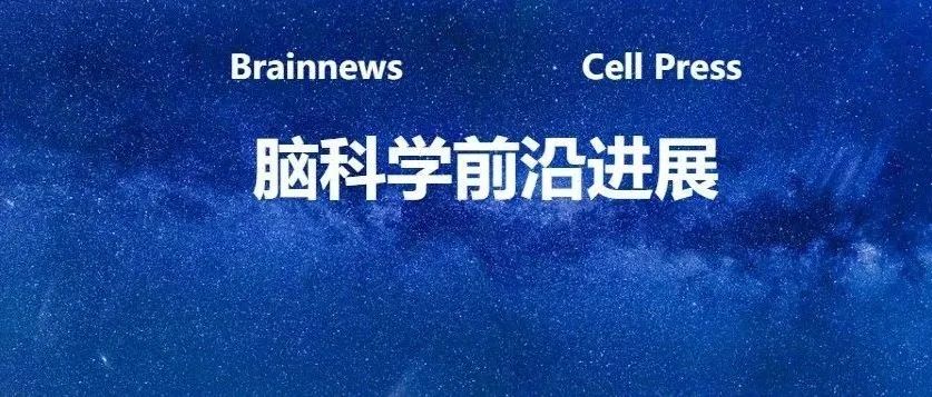 Cell：陆伟团队揭示酒精在大脑中作用的新机制