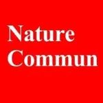 几乎完全降解！澳大利亚桂冠教授，最新Nature子刊！