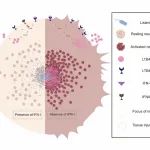 Nat Commun | 中国科学技术大学曾筑天课题组揭示血源性李斯特菌固有免疫逃逸机制