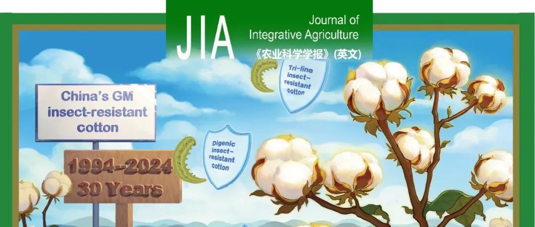 JIA专题｜棉花生物技术育种—石河子大学聂新辉教授课题组发表棉花乙烯响应因子GhERF91参与对黄萎病菌的防御反应