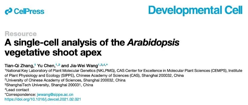 文献分享 | 拟南芥营养茎尖的单细胞分析