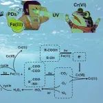 吉林农业大学张建峰团队JHM：一种新型高级还原工艺用于还原Cr(VI)——微生物代谢物的辅助