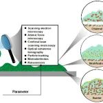 ESE专栏｜重庆大学廖强团队：异质性生物膜内传质——生物膜反应器的关键问题和人工智能驱动的性能预测方法