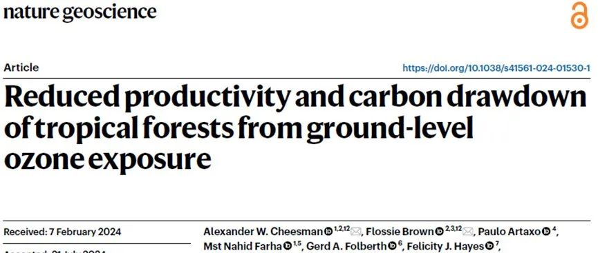 【他山之石】地面臭氧暴露导致热带森林生产力下降和碳储量减少