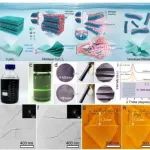 Angew：可扩展、高产量的单层 MXene 制备适用于多种应用