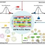 APSB｜张卫东/陈洛南教授团队开发多模态药物识别AI新算法GSFM