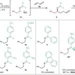 邓力团队：烷基胺的有机催化不对称α-C-H官能化