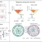 浙江大学农学院硕士生共同一作在Nature子刊（IF：28.1）发表研究成果！