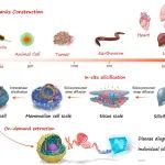 华南理工大学朱伟教授 PNAS：深度硅化辅助长期保存生物物种结构和基因组信息 - 从微观到宏观