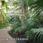 如何打造植物界的“诺亚方舟”？——对话中国科学院植物研究所所长汪小全