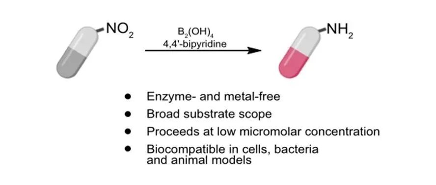 文献分享 | Nat. Commun. ： 4，4’-联吡啶介导的芳香硝基还原活化前药
