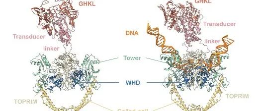 【科技前沿】Nat Commun｜陈瑜涛/李雪梅/饶子和合作最新Nature子刊