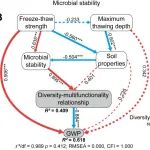 Communications Earth & Environment|冻融强度通过提高微生物稳定性以增强多样性-土壤多功能性关系