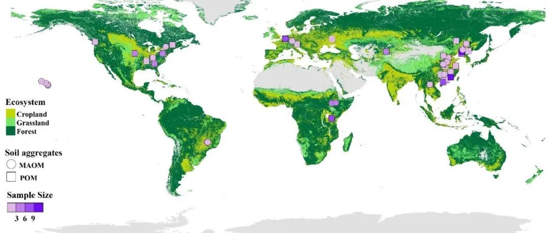 【视点】福建师范大学吴福忠教授团队：生物标志物证据表明微生物残体优先受矿质结合态而非颗粒态有机质闭蓄