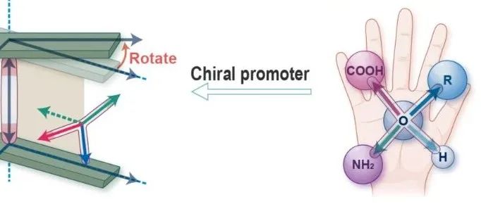 【Sci. Adv.】非手性和手性配体协同诱导无机物的手性自组装