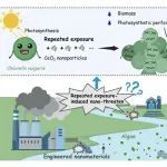 EEH专栏｜中山大学黄晓辰课题组：藻类遇到重复释放的二氧化铈纳米颗粒——怎么总是你？