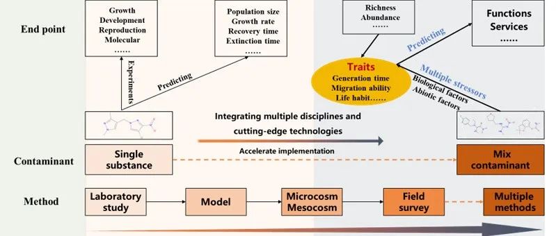 中国环境监测总站金小伟、中国环科院吴丰昌院士等ES&T：弥合差距——将生态风险评估从实验室预测推进到真实生态系统