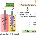 山科大薛建良、根特大学吴镝ACS ES&T Engg.：提高微生物电解池中硫酸盐的还原效率——重金属浓度等对硫酸盐废水处理的影响