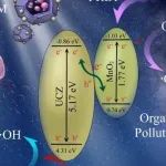 利用全光谱响应型纳米异质结光催化剂协同去除水中有机污染物和病原体