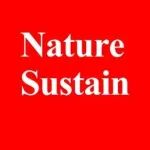 陈海龙Nat. Sustain.：低成本三氯化铁正极助力全固态锂离子电池