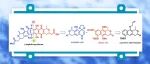 Angew. Chem. Int. Ed.：β-和γ-萘环酮类化合物的全合成