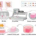 江南大学陈坚院士团队在Food Hydrocolloids发表研究成果