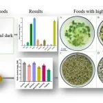 四川农业大学生命科学学院吴琦教授团队为充分利用苦荞补充膳食芦丁提供了多种饮食选择