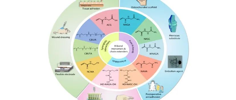 CJPS | 天津大学刘文广课题组特约综述：侧链氢键交联超分子聚合物材料的设计原则与应用